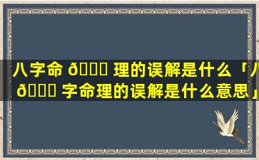 八字命 🐘 理的误解是什么「八 🐅 字命理的误解是什么意思」